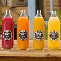 Nectar d'abricots 1L Patrick Font